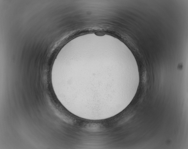 X0000115650444200912221334