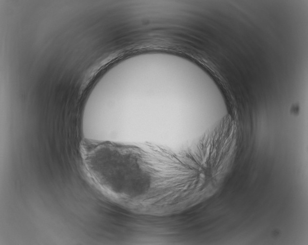 X0000115650446200912221334