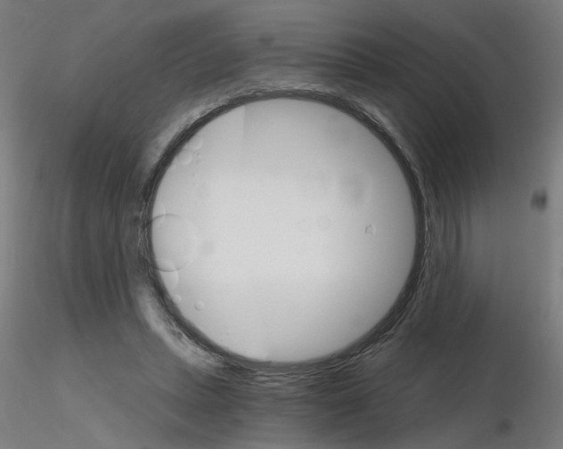 X0000115650447200912221334