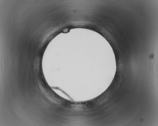 X0000115650448200912221334