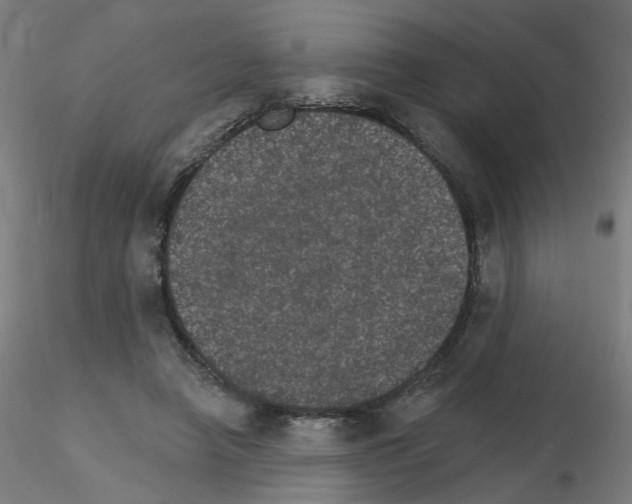 X0000115650450200912221334
