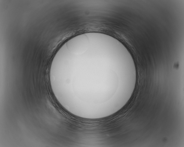 X0000115650451200912221334