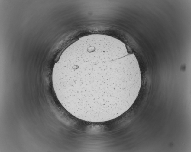 X0000115650452200912221334
