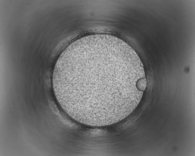 X0000115650453200912221334