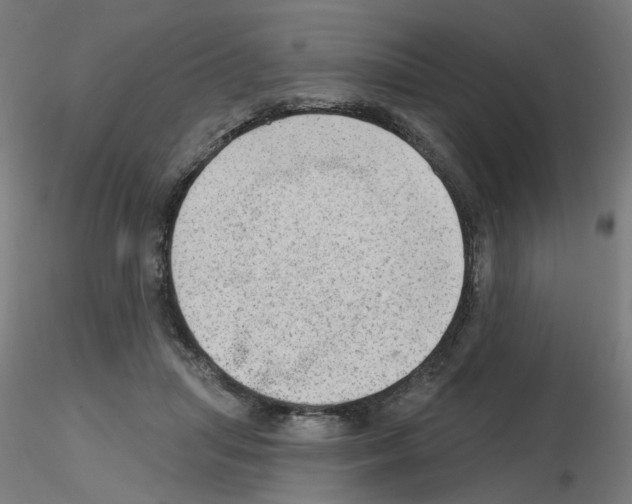 X0000115650455200912221334