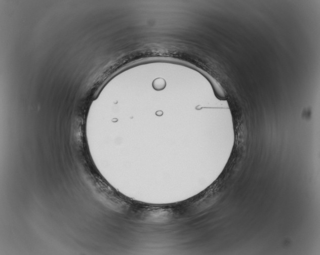 X0000115650456200912221334