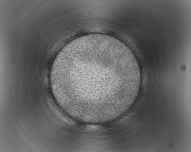 X0000115650457200912221334