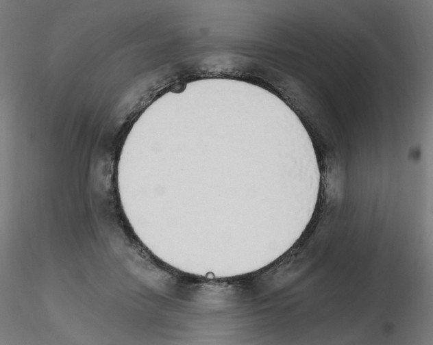 X0000115650458200912221334