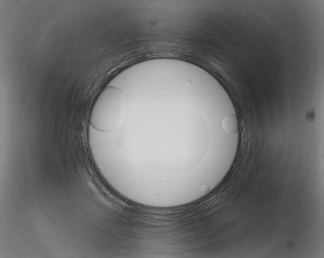 X0000115650459200912221334