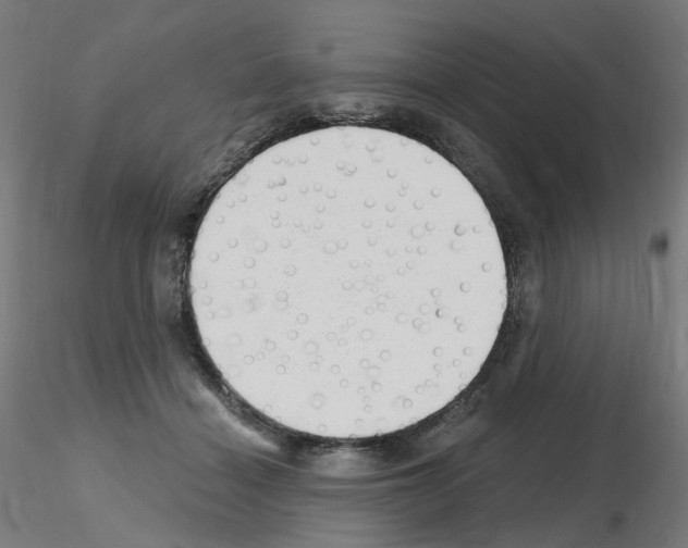 X0000115650460200912221334