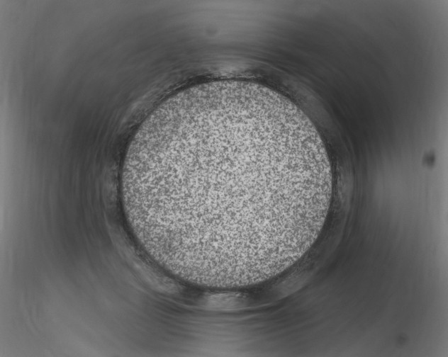 X0000115650461200912221334