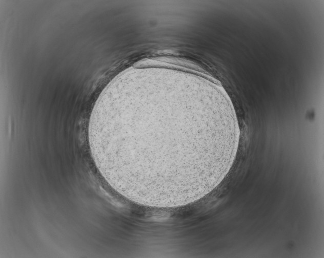 X0000115650462200912221335