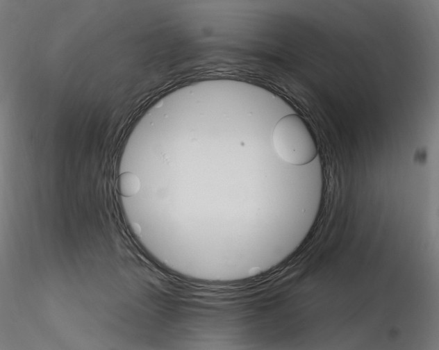 X0000115650463200912221335