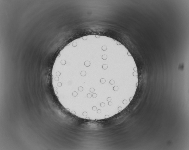 X0000115650464200912221335