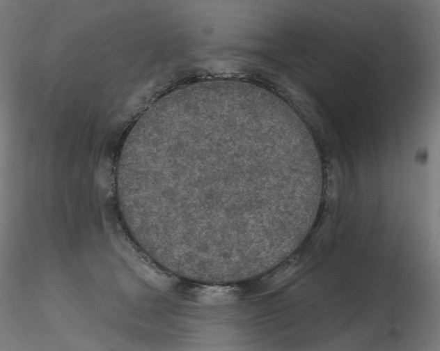 X0000115650465200912221335