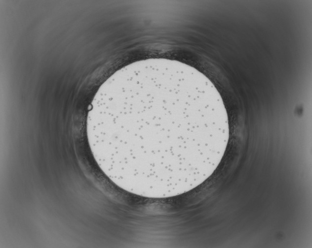 X0000115650468200912221335