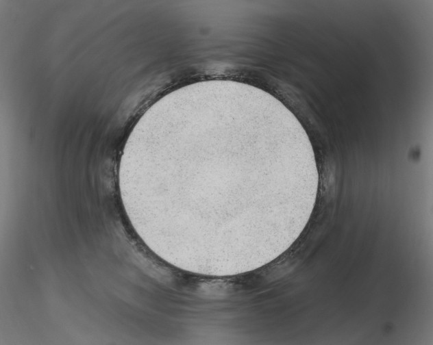 X0000115650470200912221335