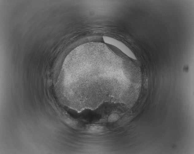 X0000115650471200912221335