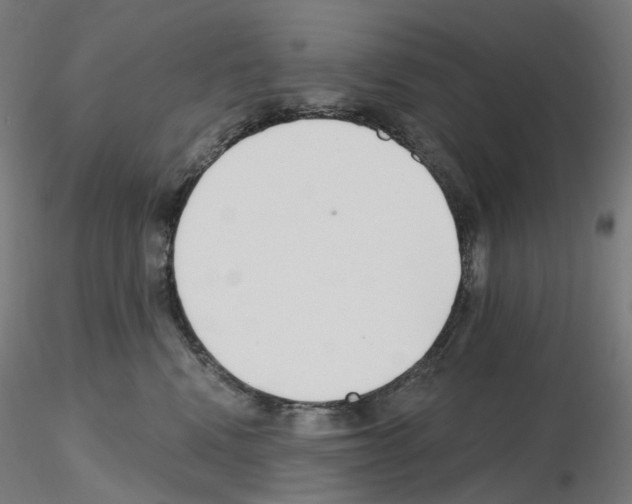 X0000115650472200912221335