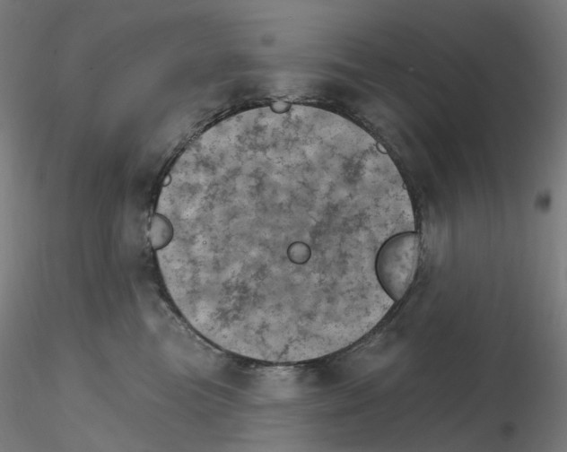 X0000115650473200912221335