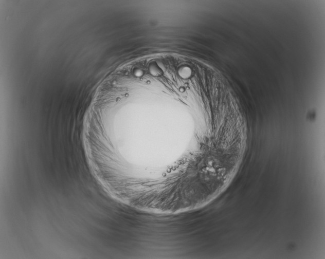 X0000115650474200912221335