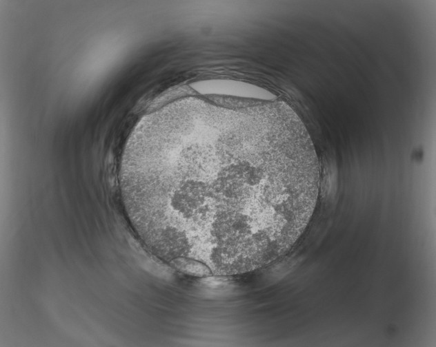 X0000115650477200912221335