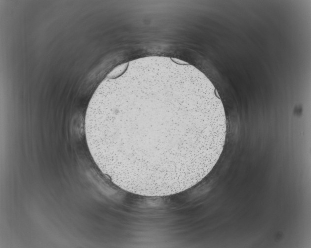 X0000115650479200912221335