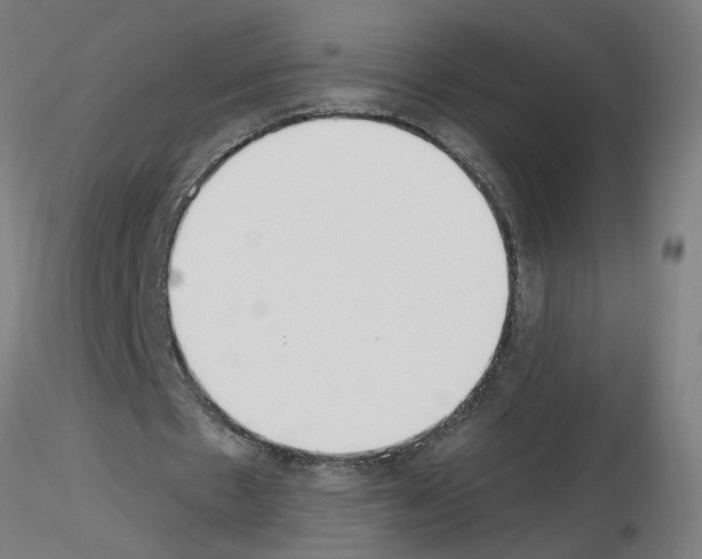 X0000115650481200912221334