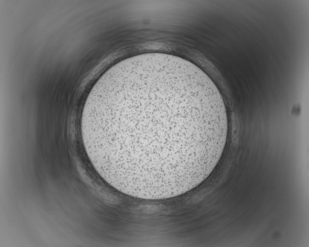 X0000115650482200912221334
