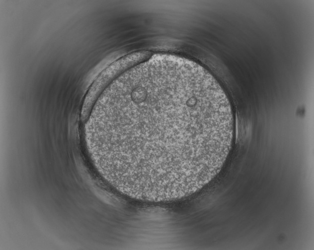 X0000115650483200912221334