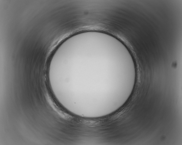 X0000115650486200912221334