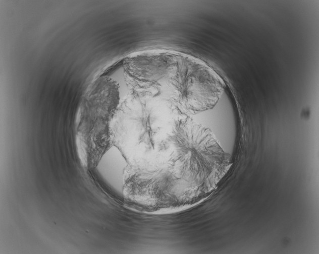X0000115650487200912221334