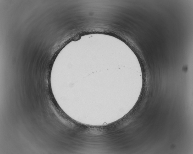 X0000115650489200912221334