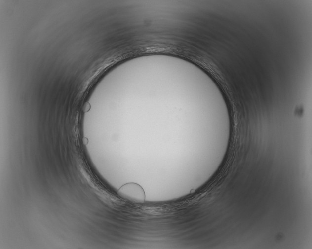 X0000115650490200912221334