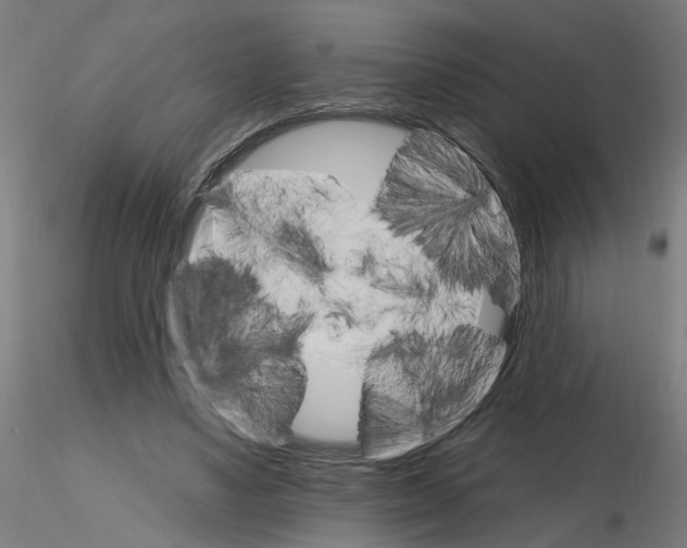 X0000115650491200912221334
