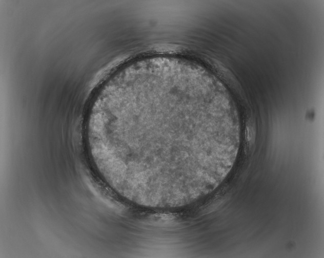 X0000115650492200912221334