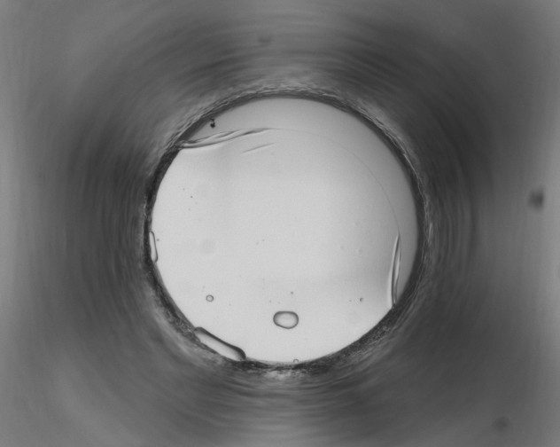 X0000115650493200912221334