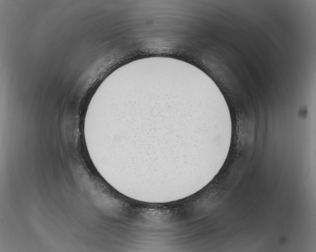 X0000115650494200912221334