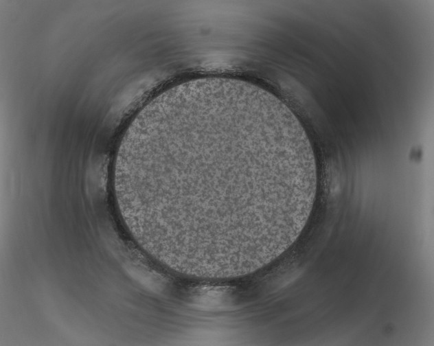 X0000115650495200912221334