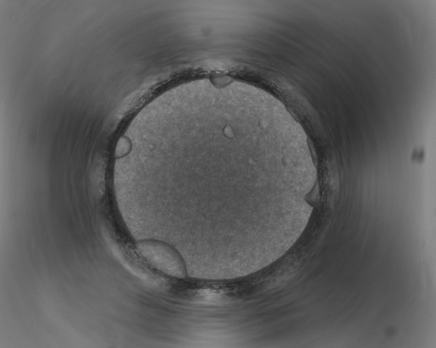 X0000115650496200912221334