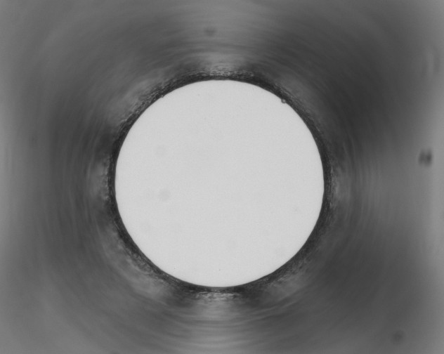X0000115650497200912221334