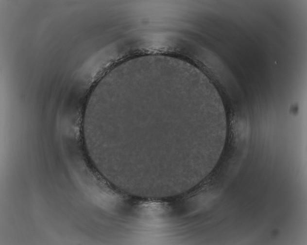 X0000115650499200912221334