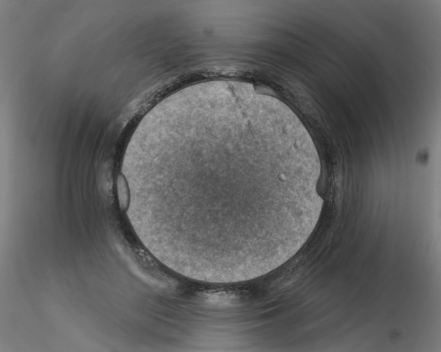 X0000115650500200912221334