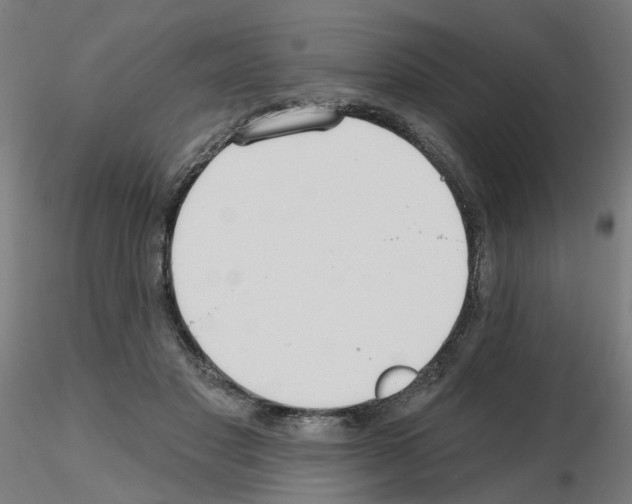 X0000115650501200912221334