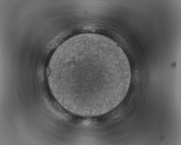 X0000115650504200912221334