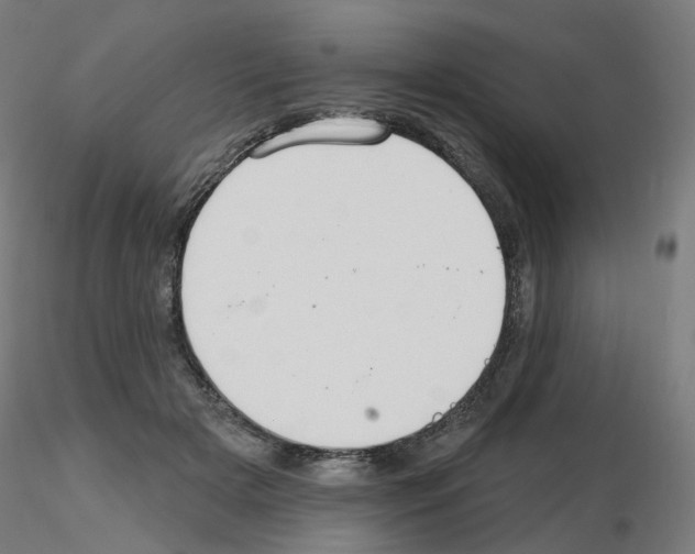 X0000115650505200912221334