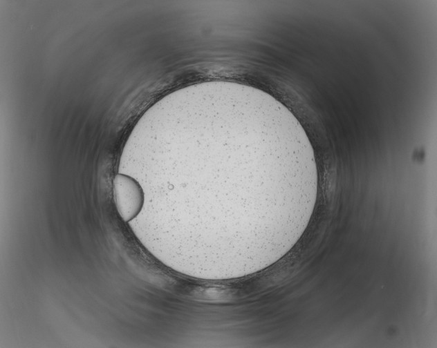 X0000115650506200912221334