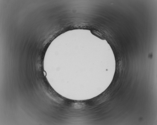 X0000115650508200912221334