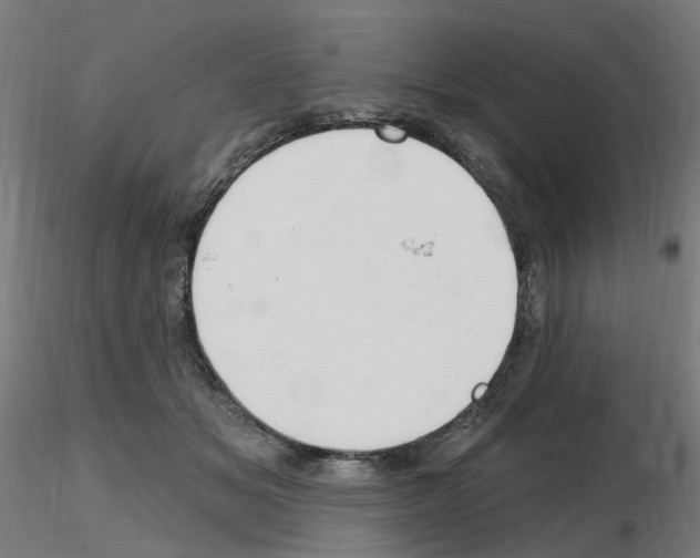 X0000115650509200912221334
