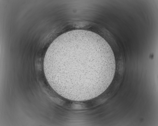 X0000115650510200912221334